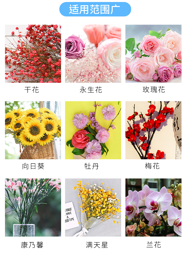 鮮花噴色劑_10